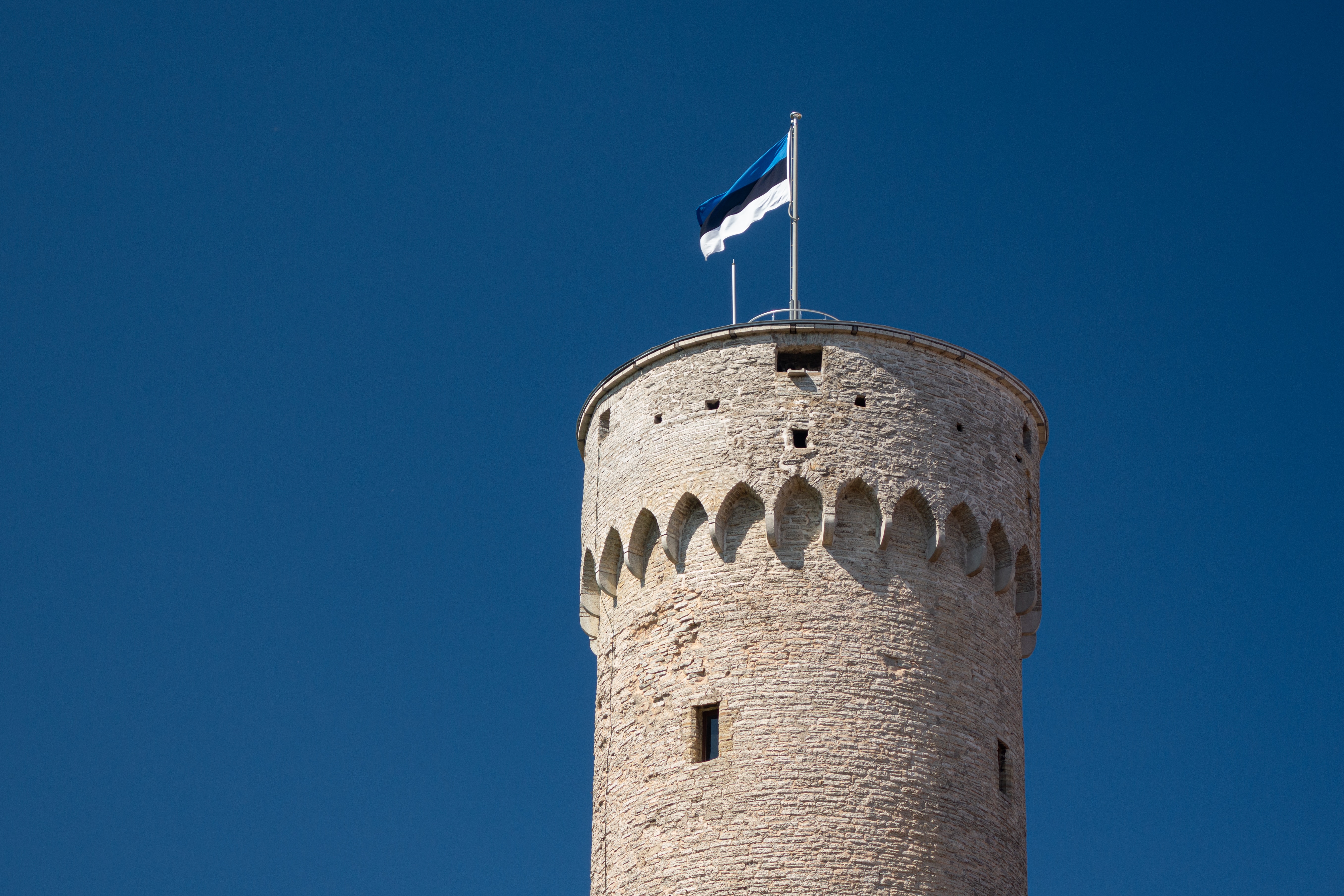 Estonian flag